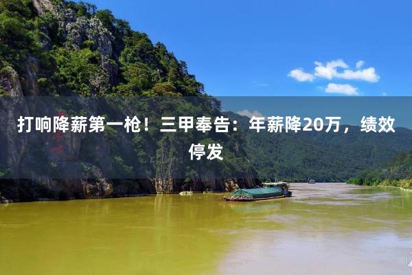 打响降薪第一枪！三甲奉告：年薪降20万，绩效停发